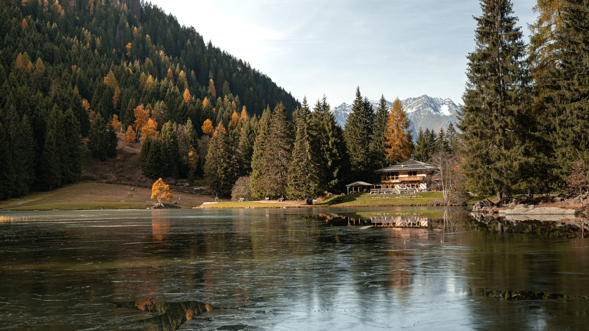 caprioli