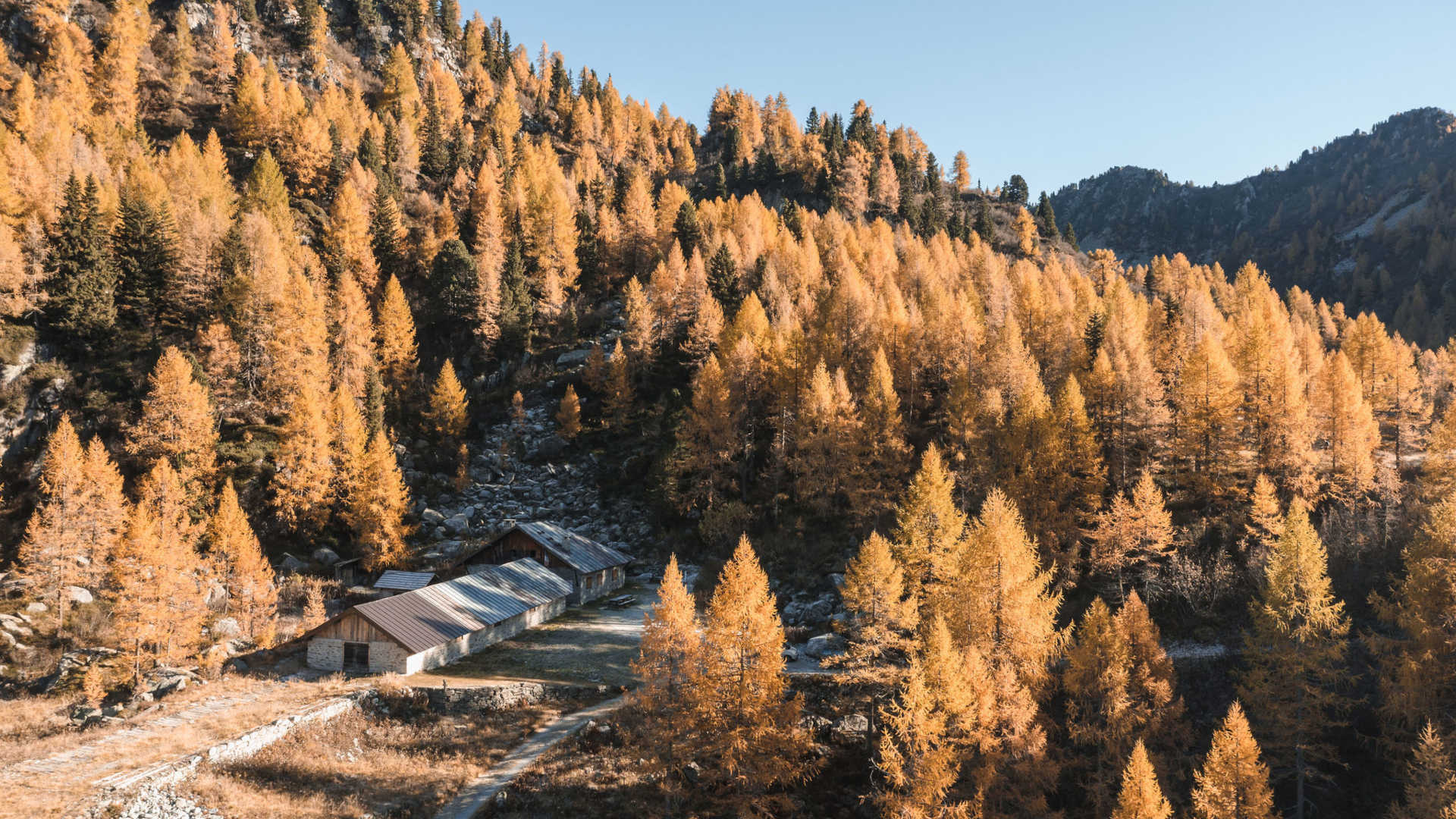 Autunno in Val di Sole, Photo: Giacomo Podetti