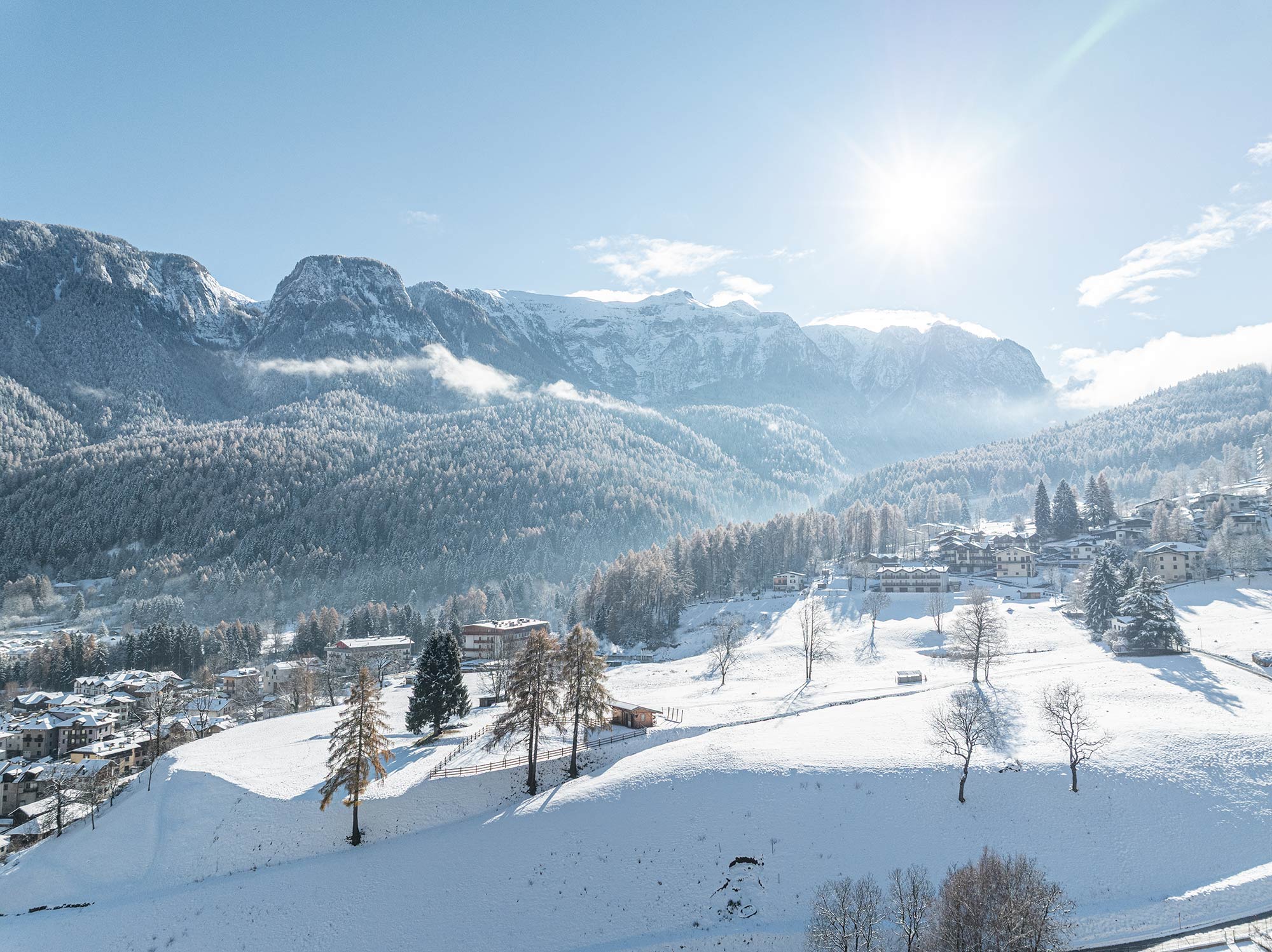 Hotel Alpholiday Winter
