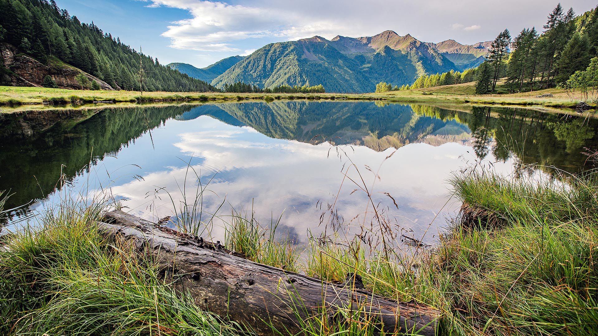 die umliegenden Berge spiegeln sich in einem See in Dimaro im Trentino im Sommer