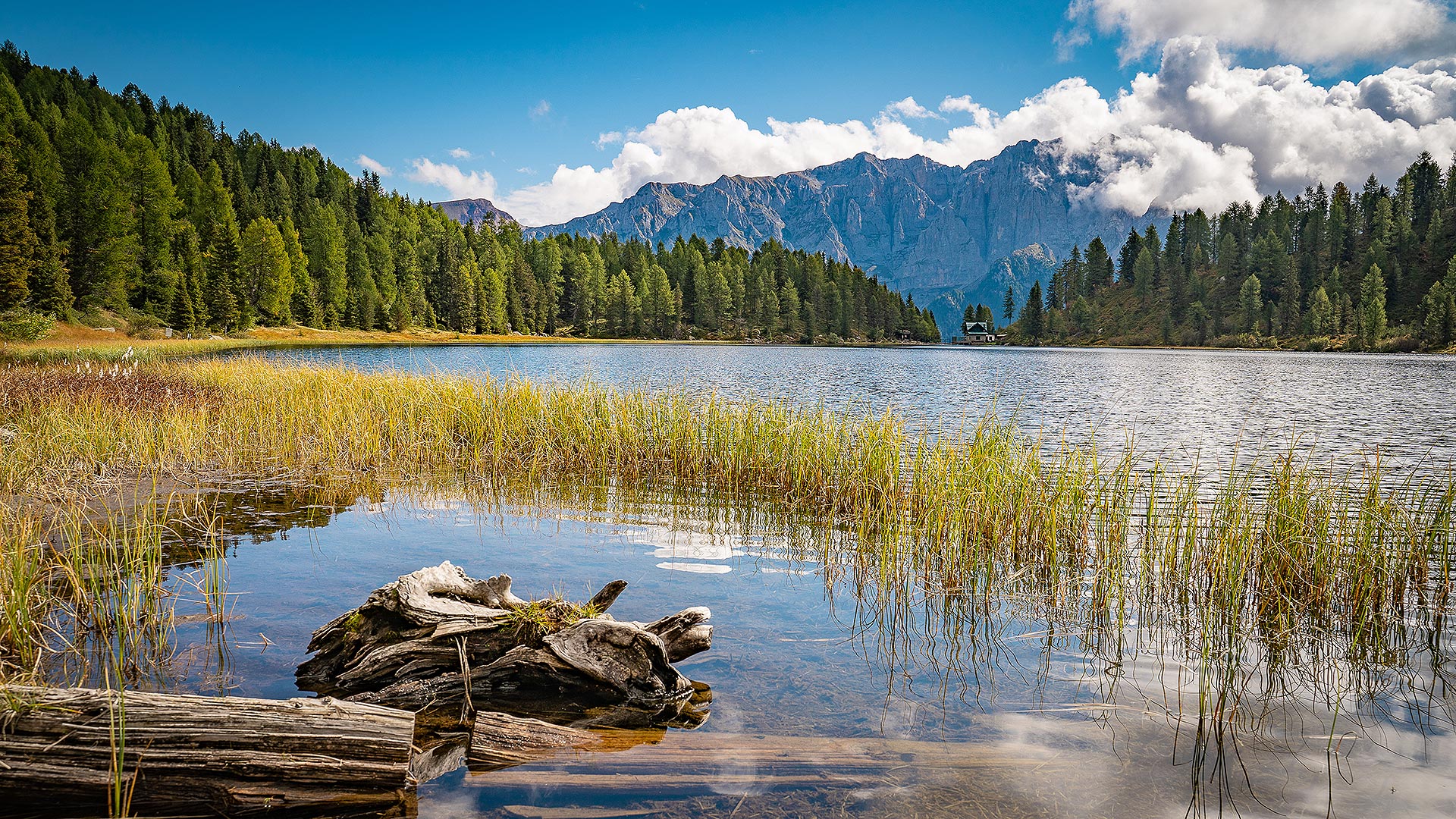 splendido lago nel Trentino d'estate 