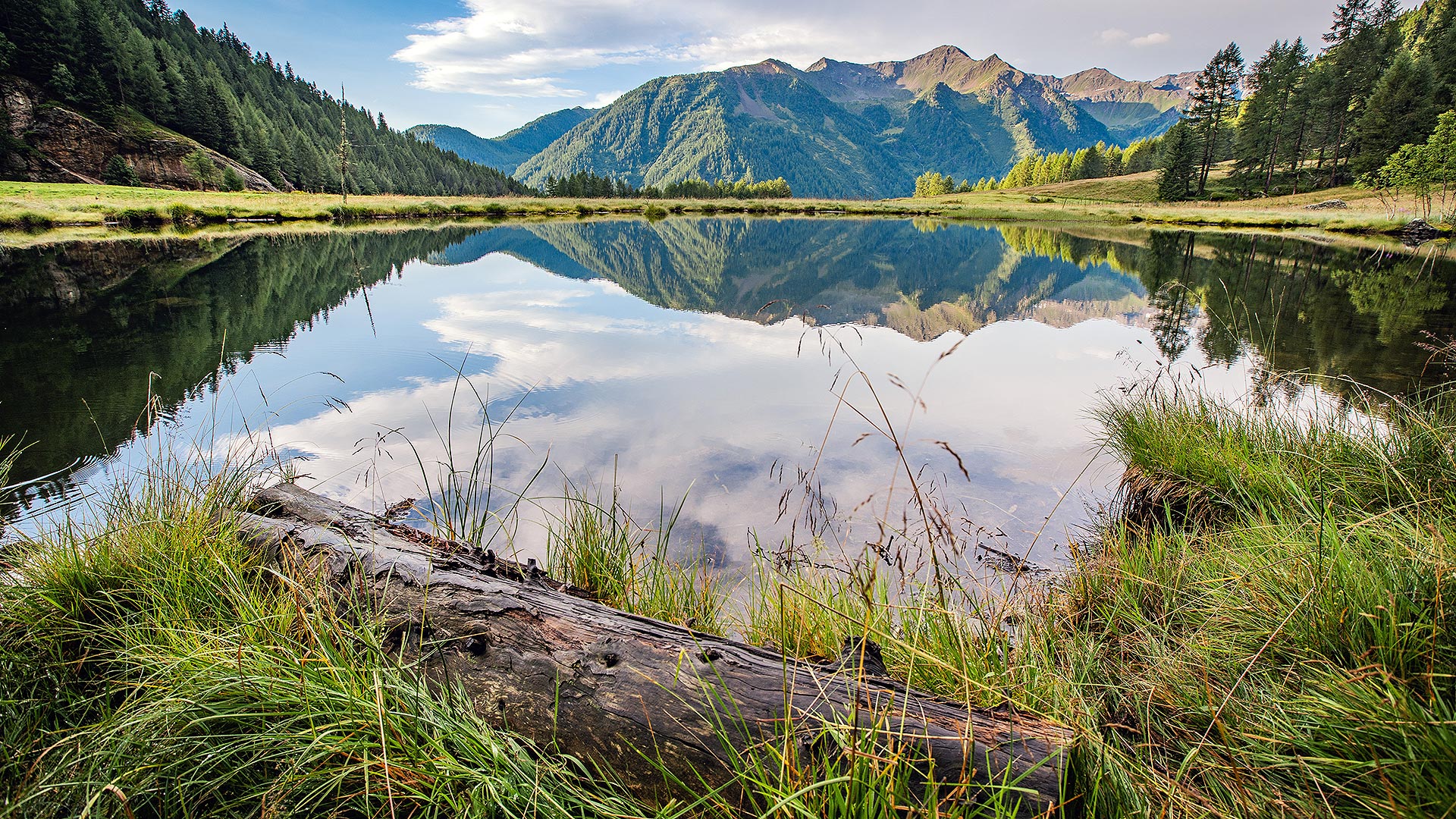 I boschi e le montagne si riflettono sull'acqua di un lago in Trentino d'estate