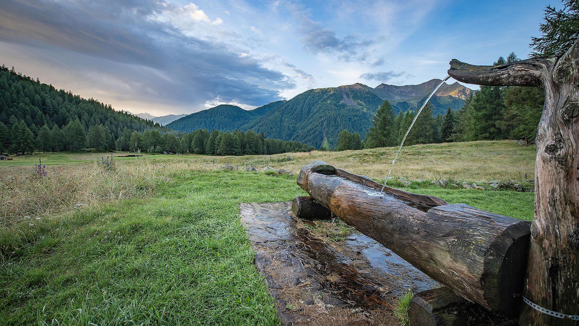 eine Wiese mit Holzbrunnen im Trentino im Sommer