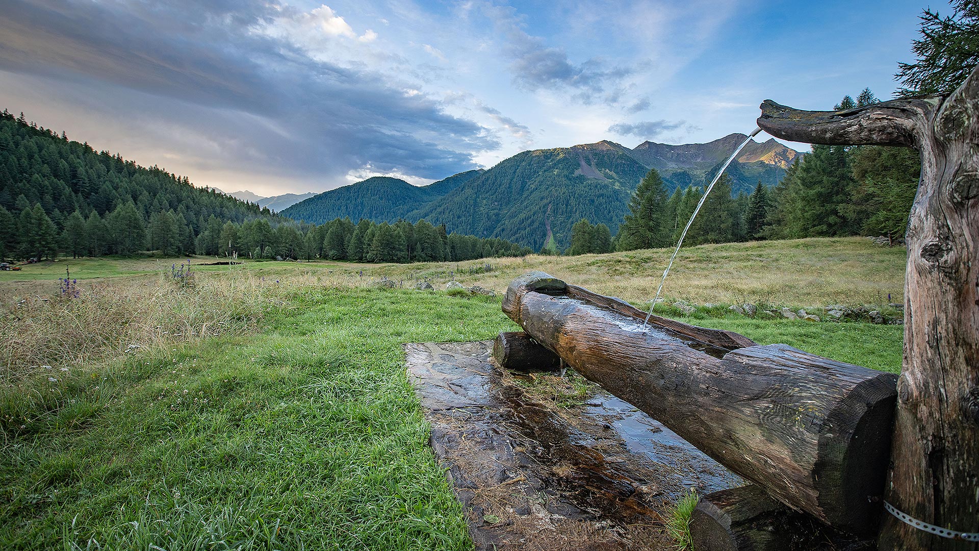 estate a Dimaro nel mezzo della splendida natura del Trentino